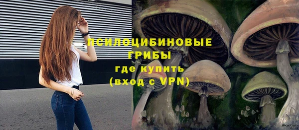 бутират Арсеньев
