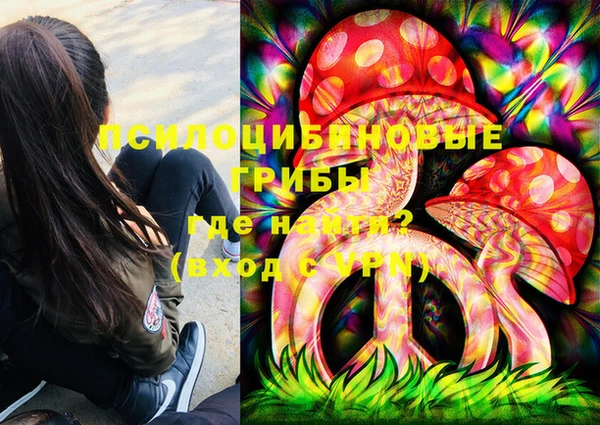 стафф Армянск